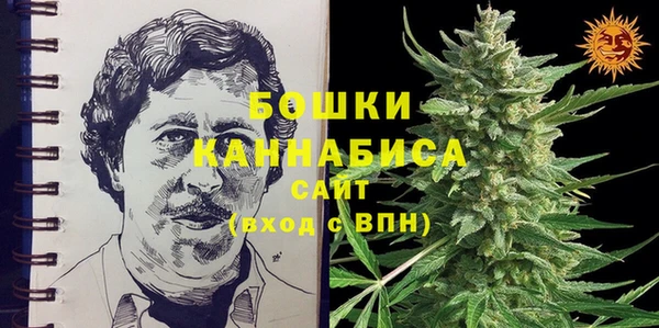 гидра Алексеевка