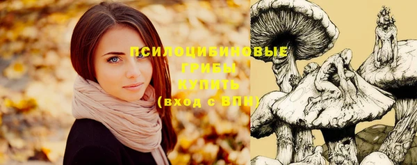 не бодяженный Алексин