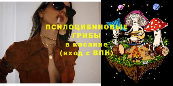 не бодяженный Алексин