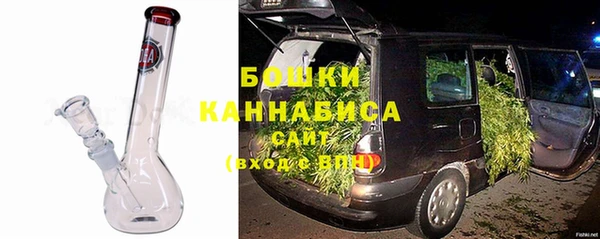гидра Алексеевка