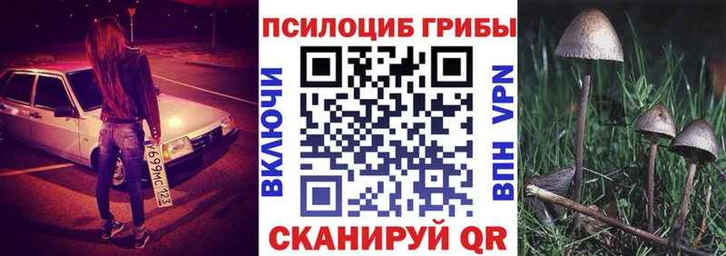 хочу   Дмитров  гидра   Галлюциногенные грибы прущие грибы 