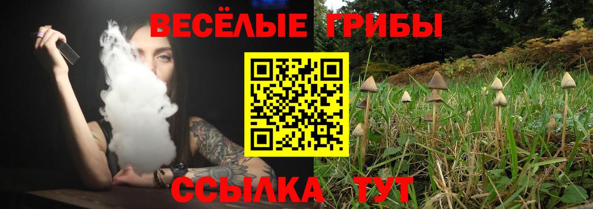 Дмитров  дарнет шоп  Вход с VPN  Псилоцибиновые грибы Cubensis 