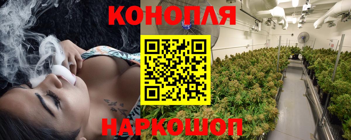 Конопля Bruce Banner Дмитров