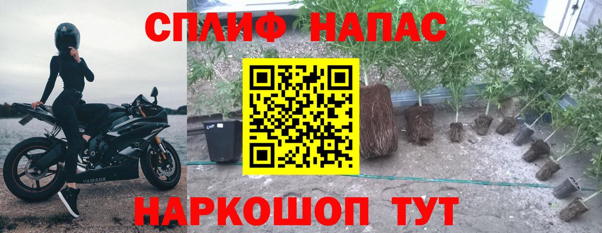 Дмитров  Конопля OG Kush  Каннабис Amnesia  Вход с VPN  Канабис индика 